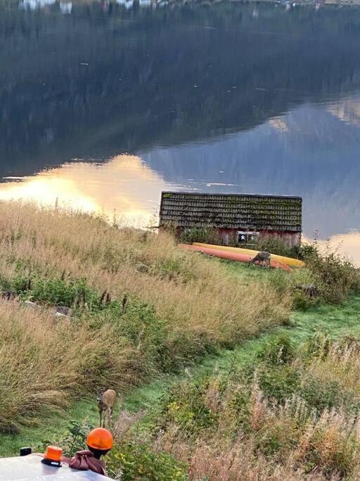 Sjarmerende Anneks I Sigerfjord, Vesteralen Сортланд Екстериор снимка